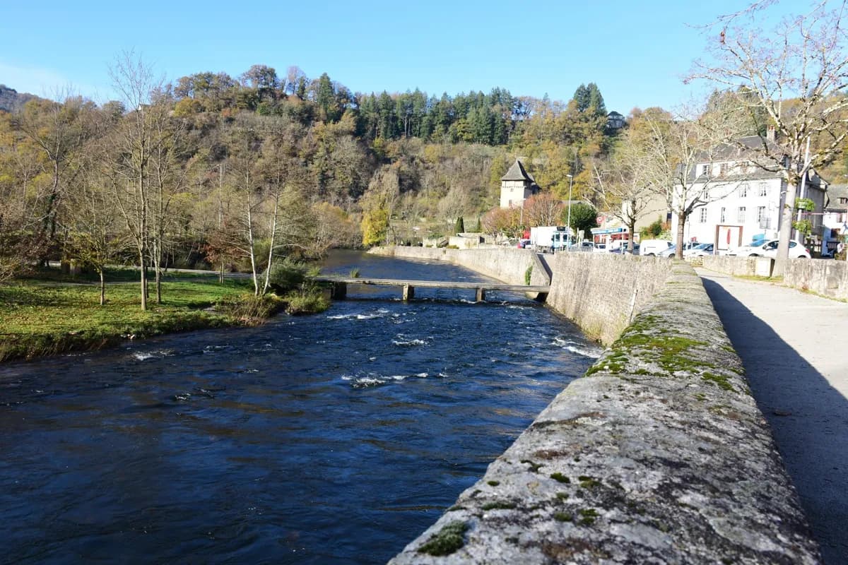 Lâchers de truites sur le Lot à Entraygues-sur-Truyère
